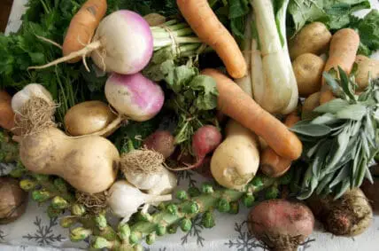 winter vegetables photo