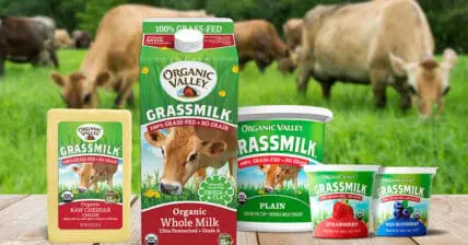 organic valley grassmilk