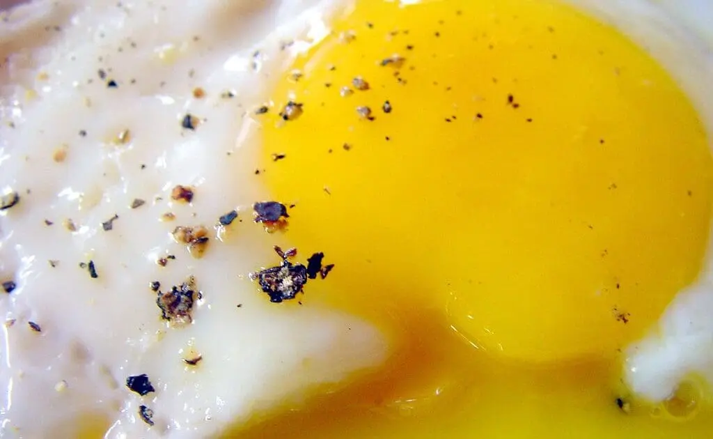 yolk