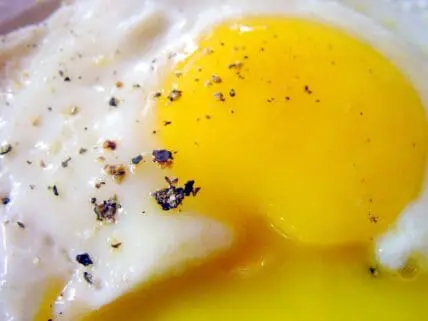 yolk