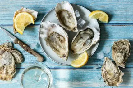 image of oysters on the half shell on a plate with lemon representing aphrodisiac foods.