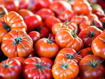 Ways to Eat Heirloom Tomatoes, Unsplash