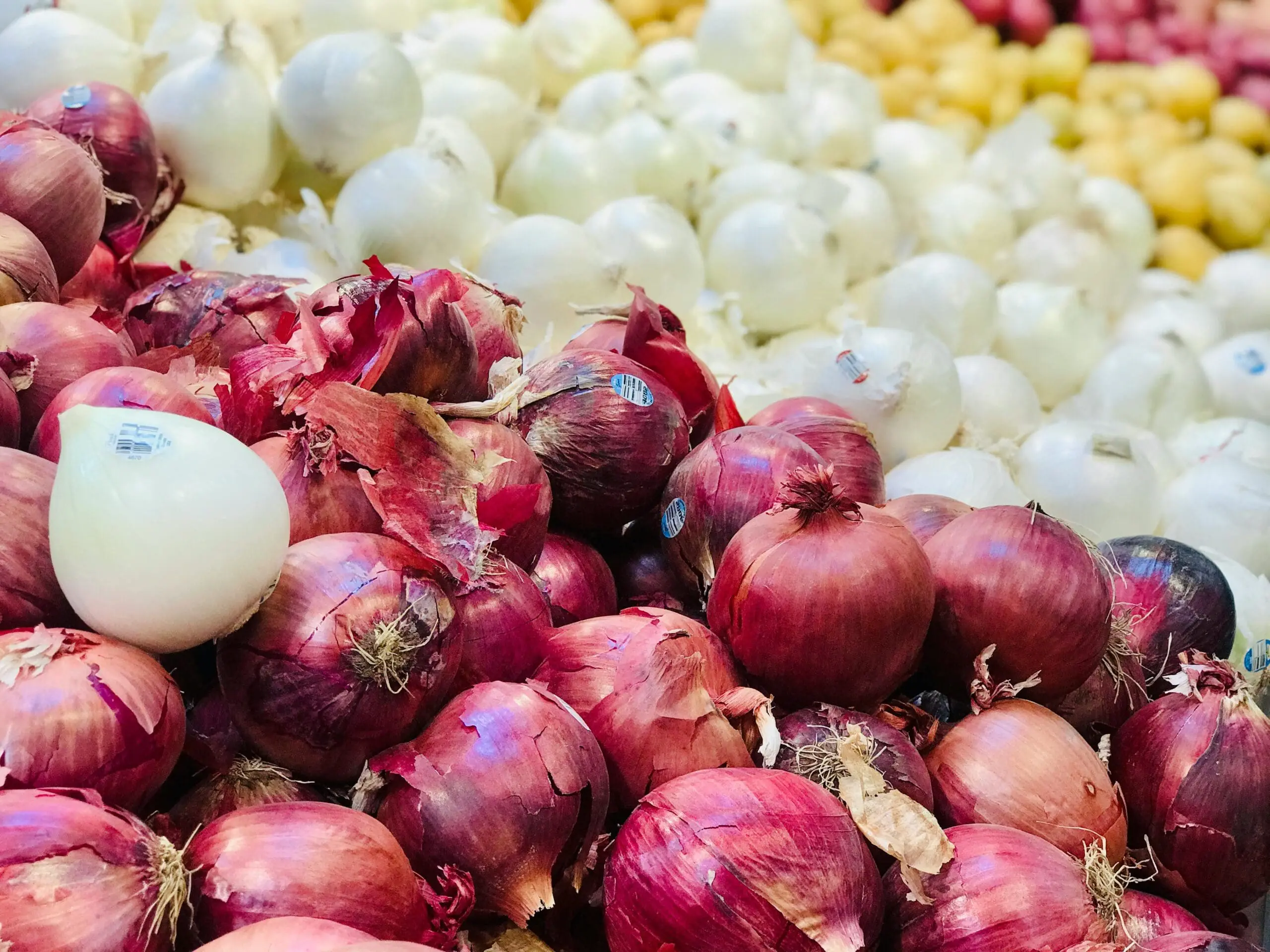 Least Expensive Fruits and Veggies onion