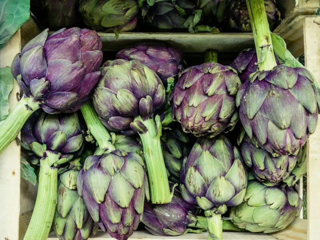 Artichoke, Purple Fruits and Vegetables, Unsplash