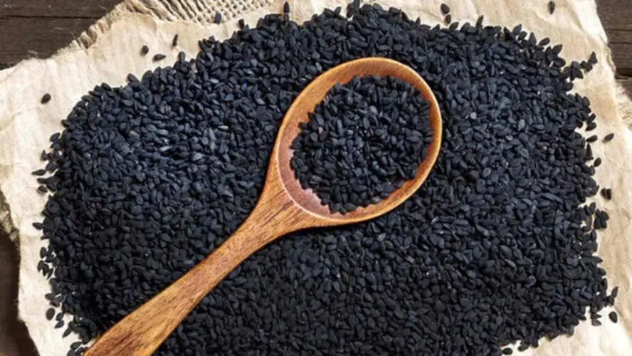 Black Cumin Seed Oil Google Commons
