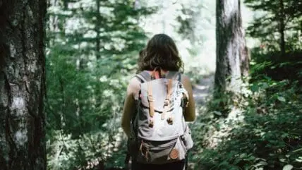 Fast Ways to Detox After Chemical Exposure Main Unsplash