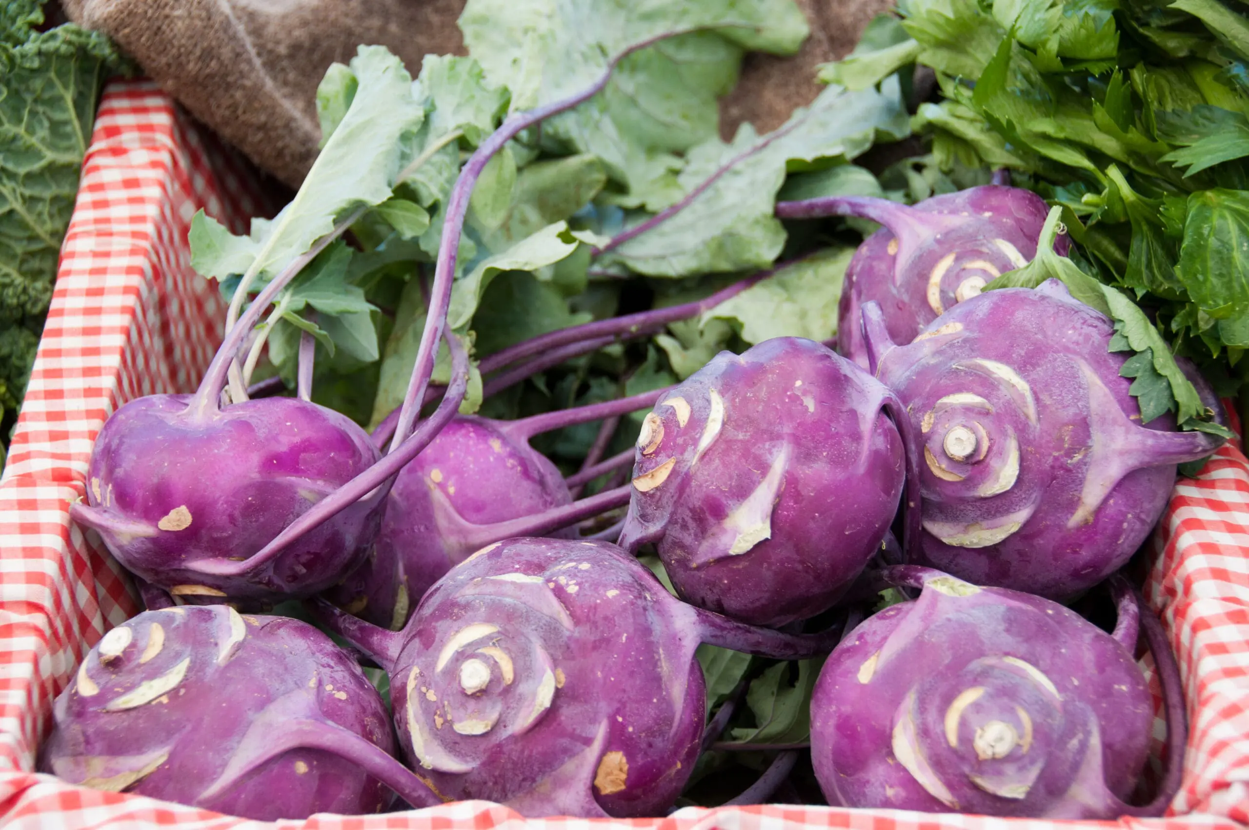 Kohlrabi Wiki Commons