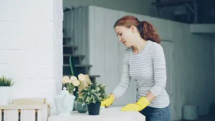 Main Places You Forget During Spring Cleaning Unsplash