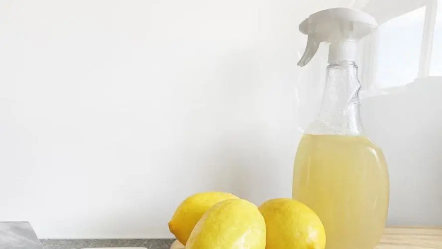 More Household Cleaners to Avoid Unsplash