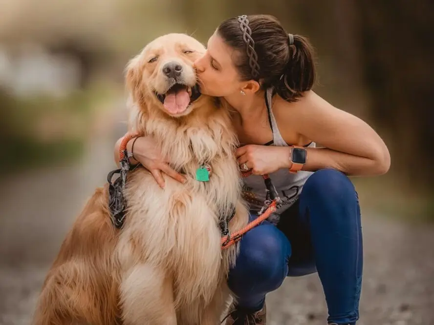 Pet Collar Unsplash