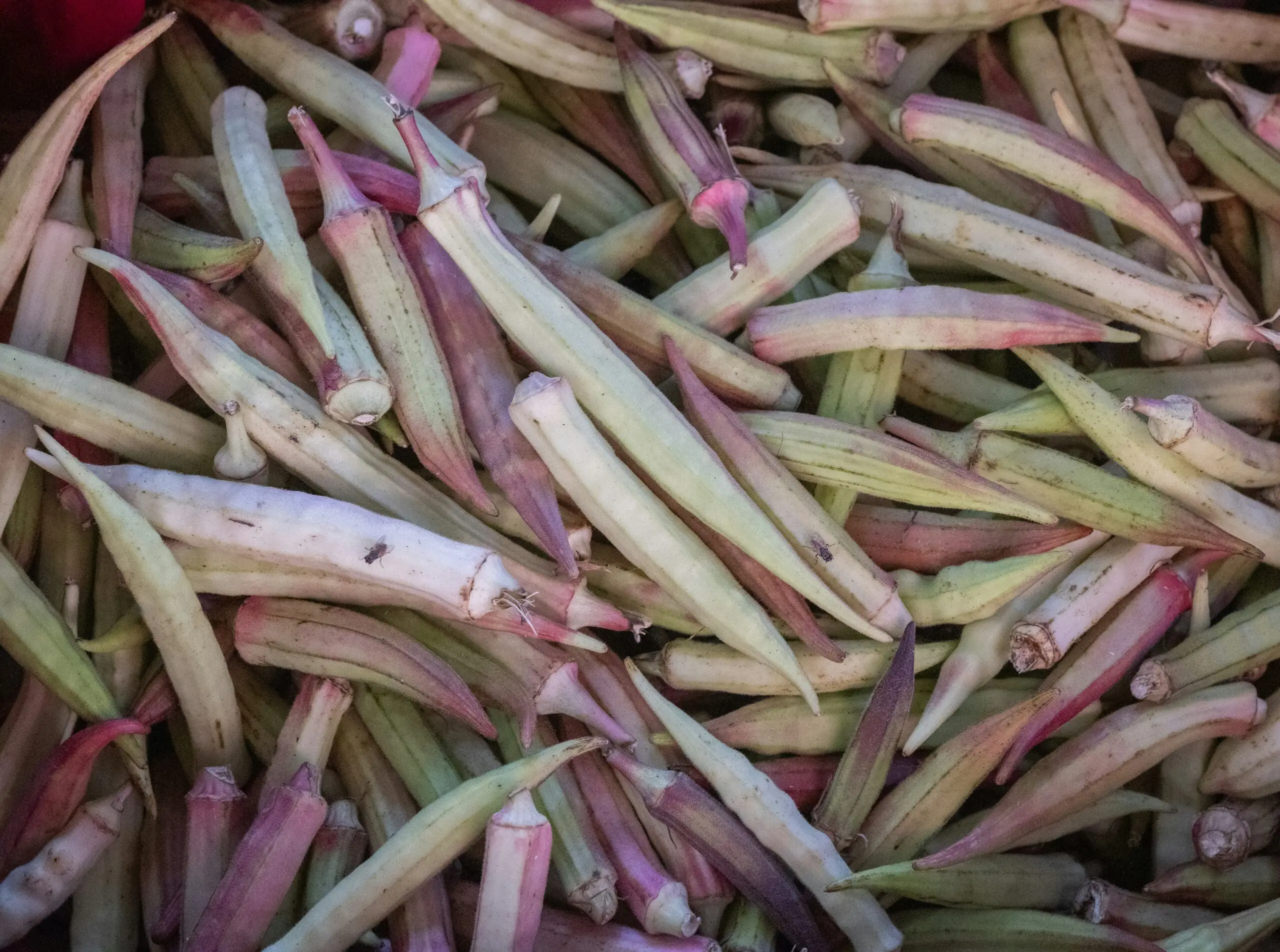 Purple Okra, Unsplash