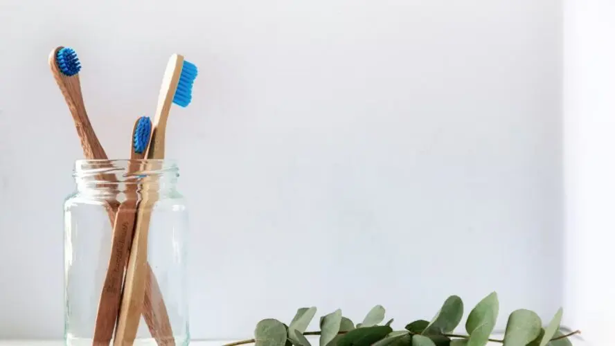 Toothbrush Holder Spring Cleaning Unsplash