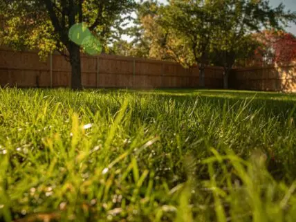 Ways to Save Water Unsplash