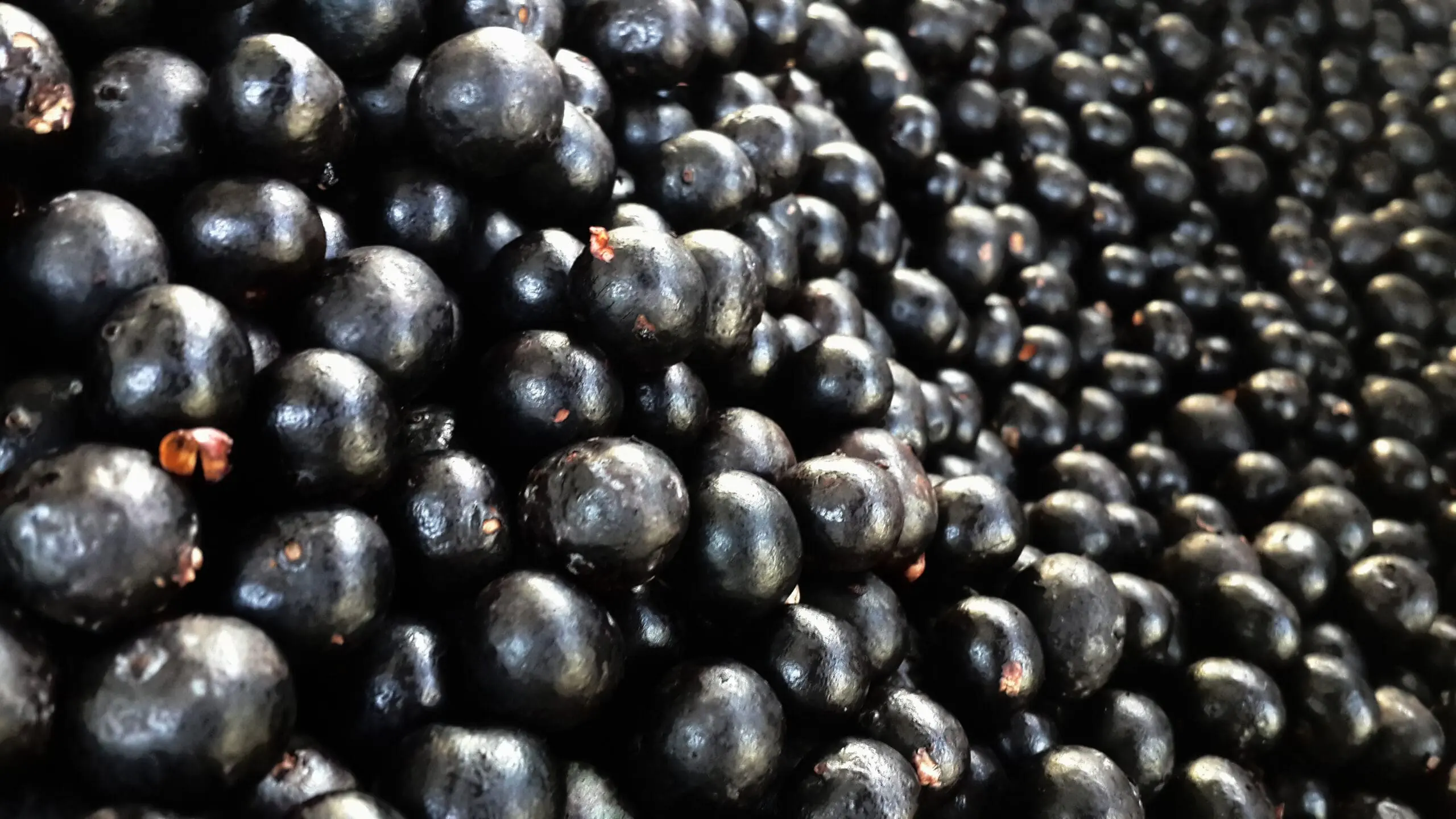acai Wiki Commons