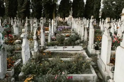 Human Composting Brings New Life to the Deceased