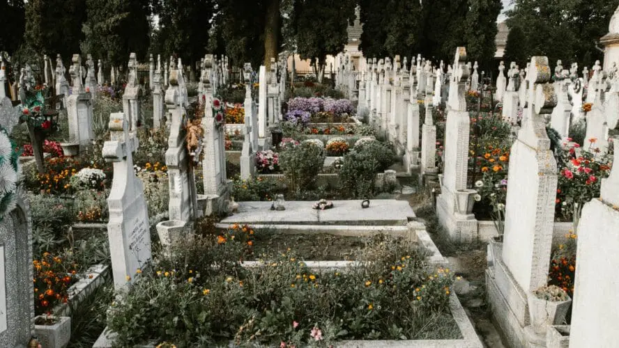 Human Composting Brings New Life to the Deceased