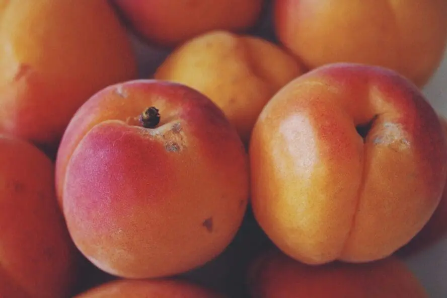 fresh peaches are one of the healthiest summer fruits