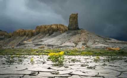 climate change crop diversity