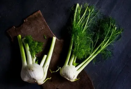 image of fennel which is good for you and can be used in a number of ways