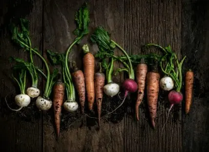 fall gardening