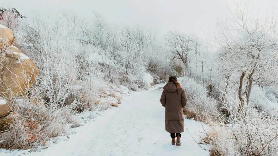 cure winter blues go for a walk emmeli m unsplash