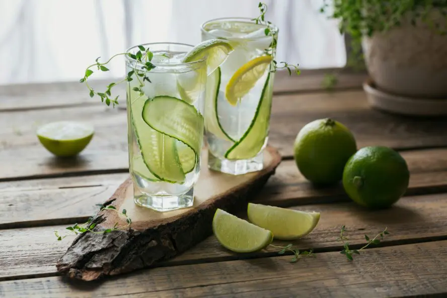 mage of a Cilantro Cucumber Cooler in a martini glass with a cucumber slice garnish and fresh cilantro visible