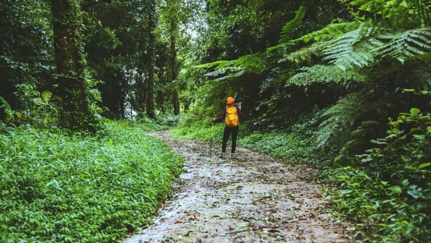 Reasons to Get Outside Main Unsplash
