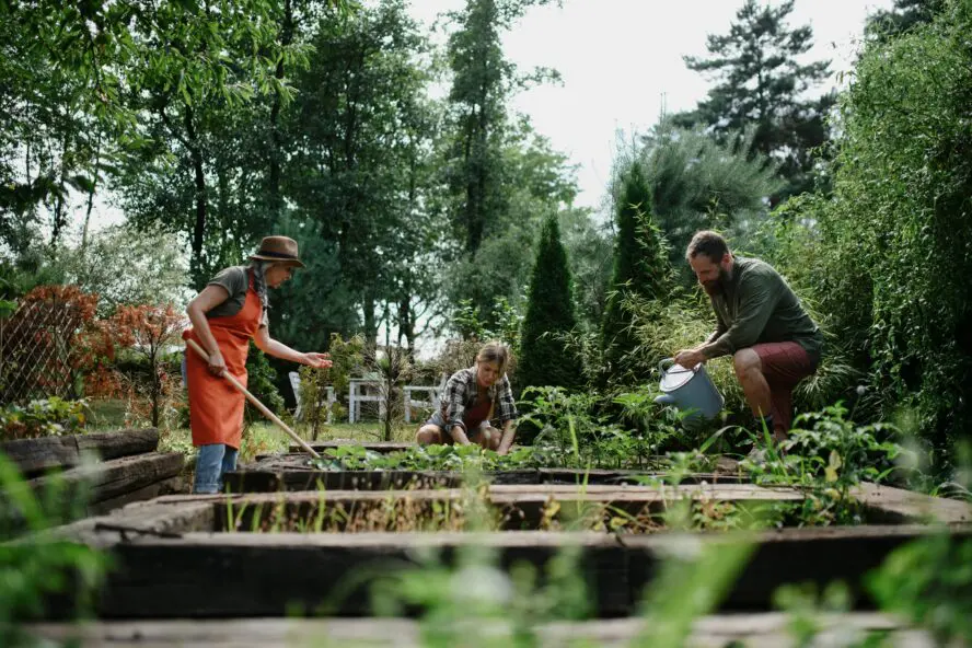 ways to save water garden raised beds getty images unsplash