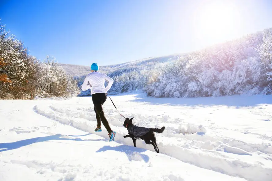 working out over the holidays getty images x unsplash