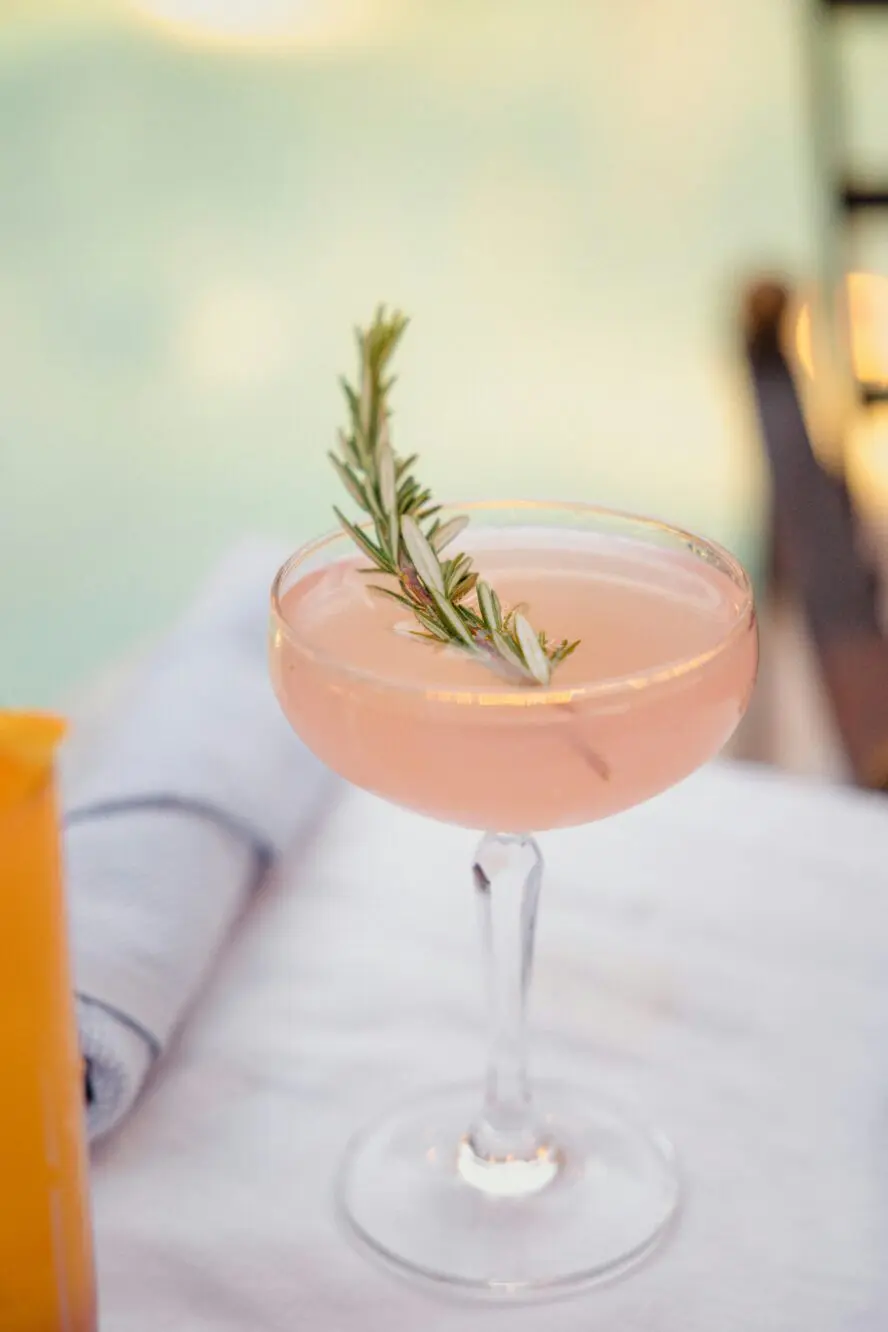 Blackberry Rosemary Cocktail in a chilled glass with fresh blackberries and a rosemary sprig garnish
