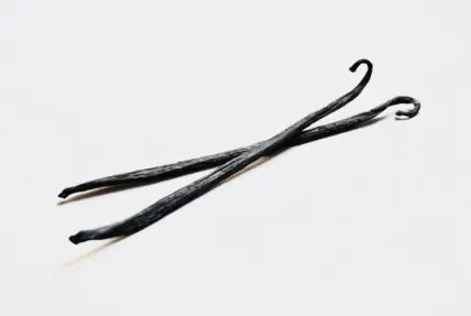 vanilla bean for homemade vanilla extract