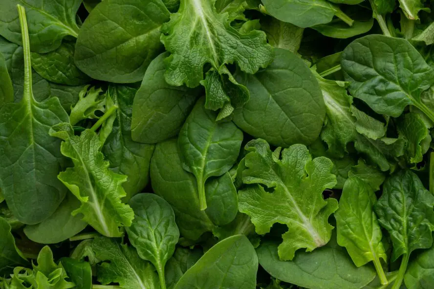 warm salad recipe with wilted greens and vinaigrette maryam sicard unsplash