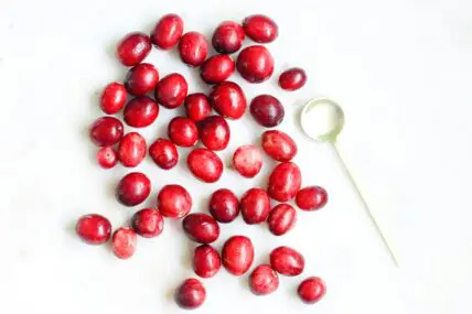 Cranberry Sauce Ideas