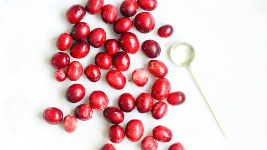 Cranberry Sauce Ideas