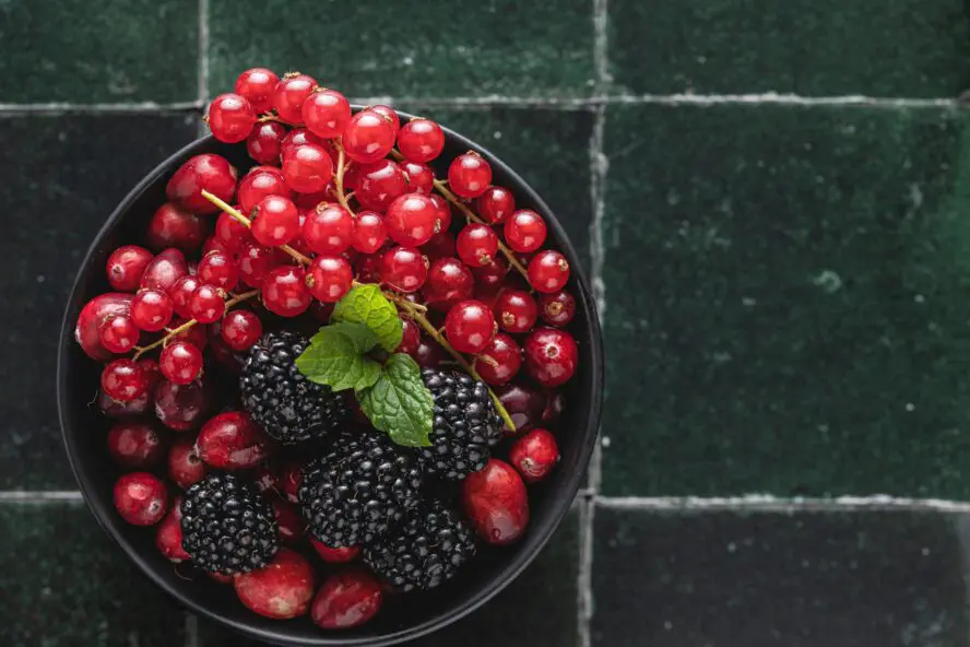 image of berries for our blueberry muffin recipe easy that are both vegan and gluten free olivie strauss unsplash