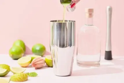 elderflower cocktail spritzer