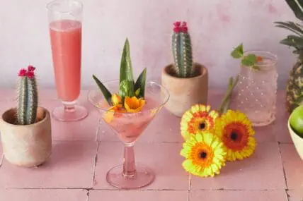 image of a prickly pear margarita recipe