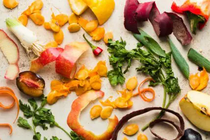 3 Easy Steps to Worm Composting Bins That Won't Gross You Out patrycja jadach unsplash