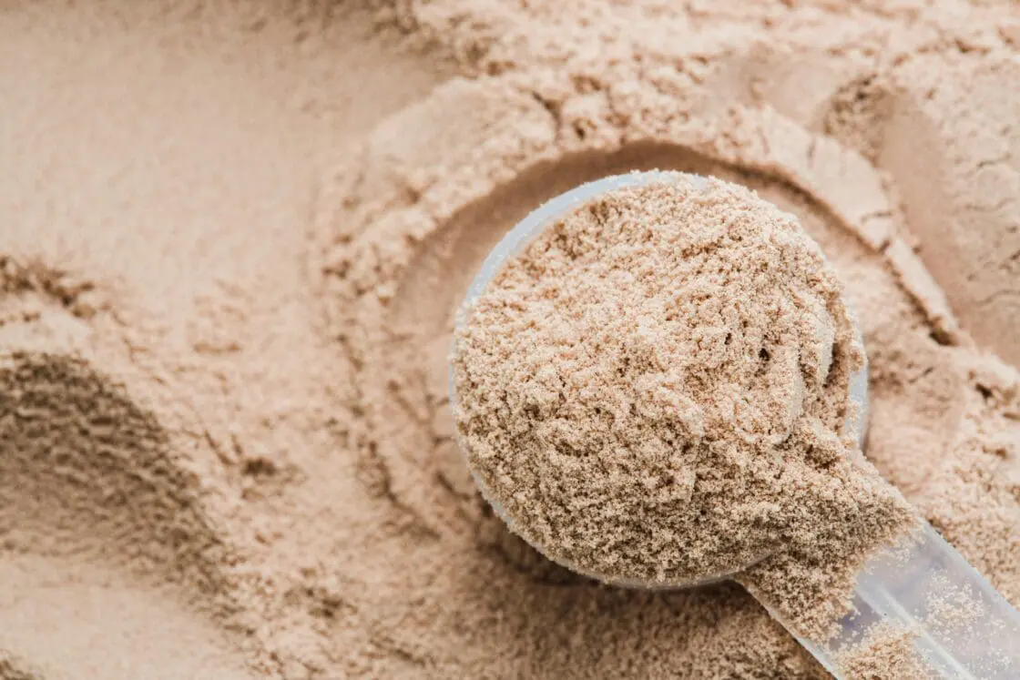 protein powder as a way to gain muscle and lose fat