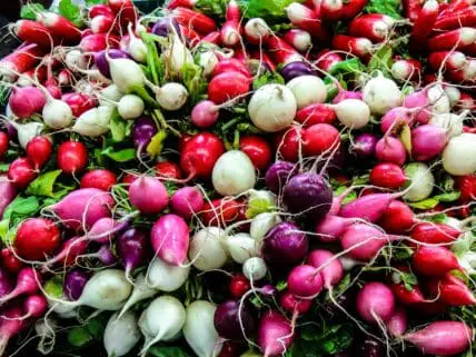image of a bunch of different color and types of turnips