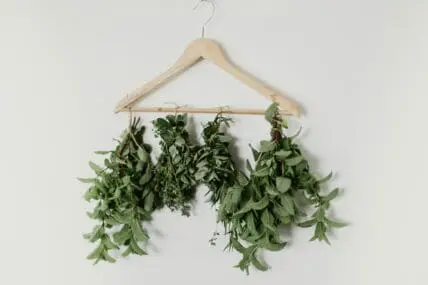 hanging garden