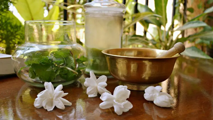 chilled water vessel and bowl with fresh herbs alongside a metal sound bowl on a table outside surrounded by greenery, in an auyrvedic cleanse spa