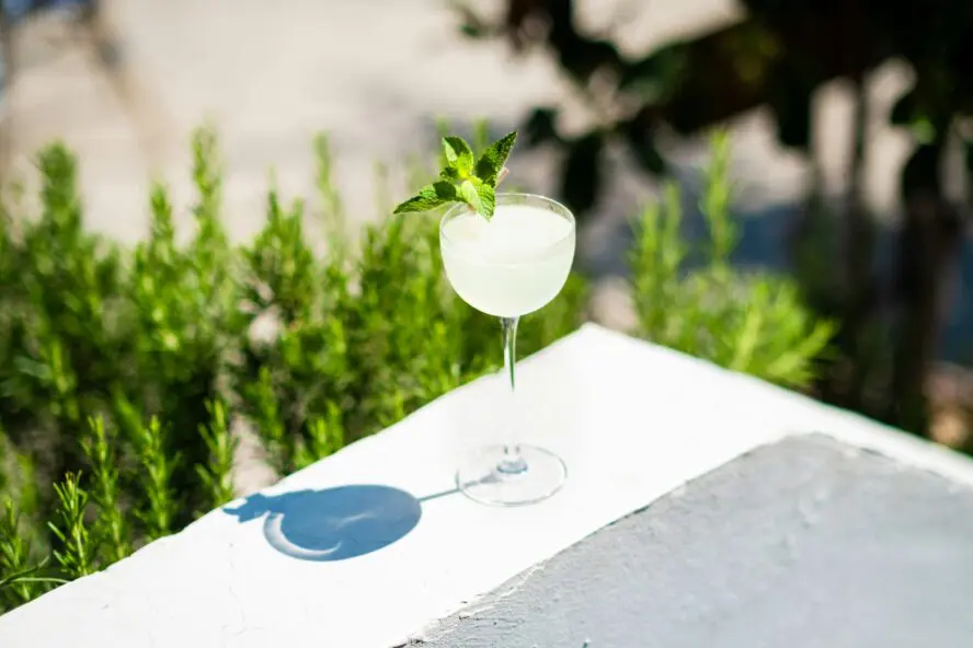 Mint Julep in a chilled glass and a generous fresh mint garnish