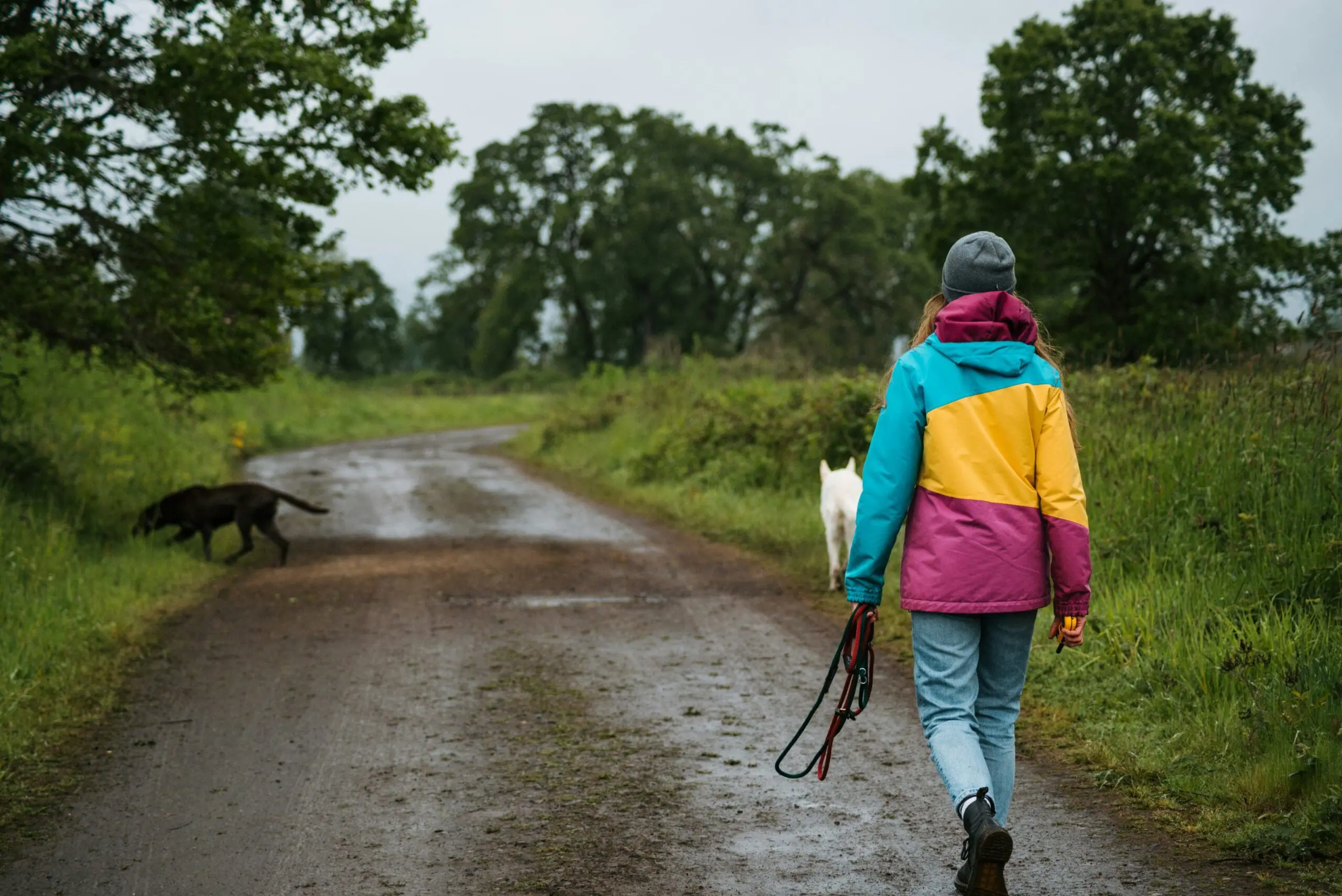 Walking Feel Better After You Ate Too Much, Unsplash