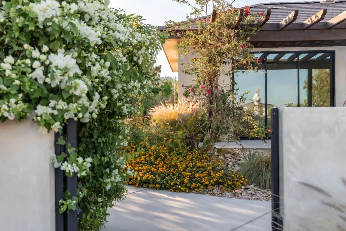 We Care Spa California outdoor room view of this California wellness retreat Luxury wellness retreat