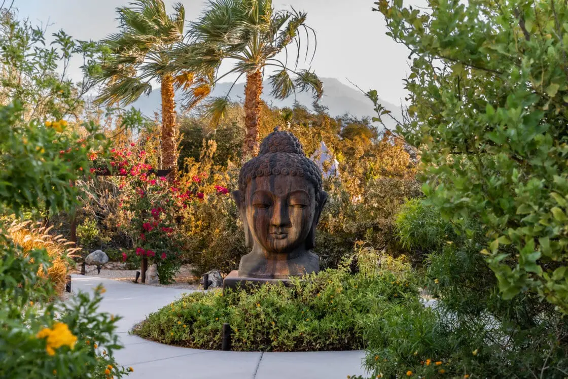 image of a tranquil outdoor space at We Care Spa, a Luxury wellness retreat