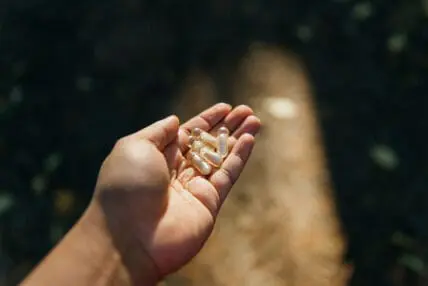 Image of a hand holding a palm full of Ritual Probiotics