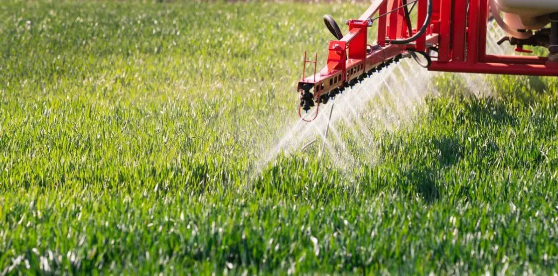 A close-up image of an agricultural crop sprayer, with multiple nozzles spraying herbicide over a field of crops.