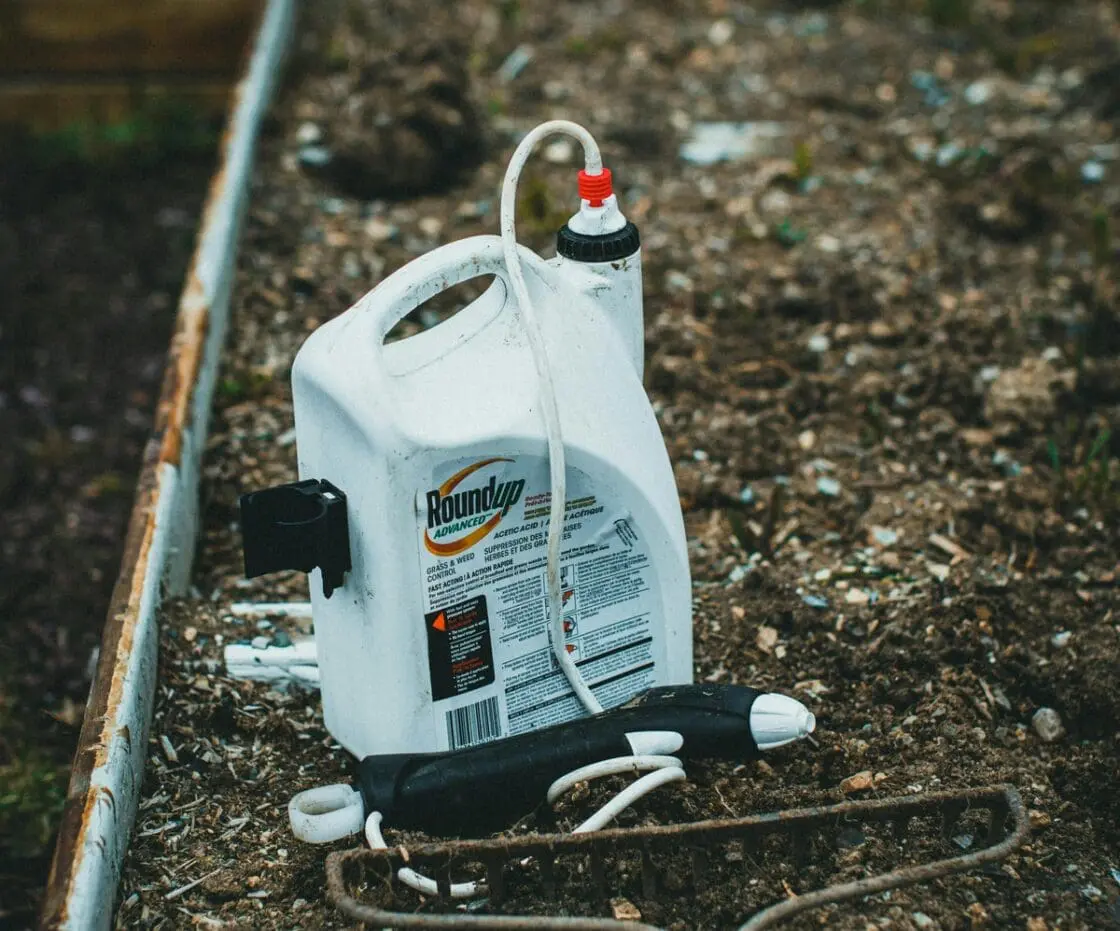 Image of a large white container of the herbicide glyphosate, sold under the name Roundup.