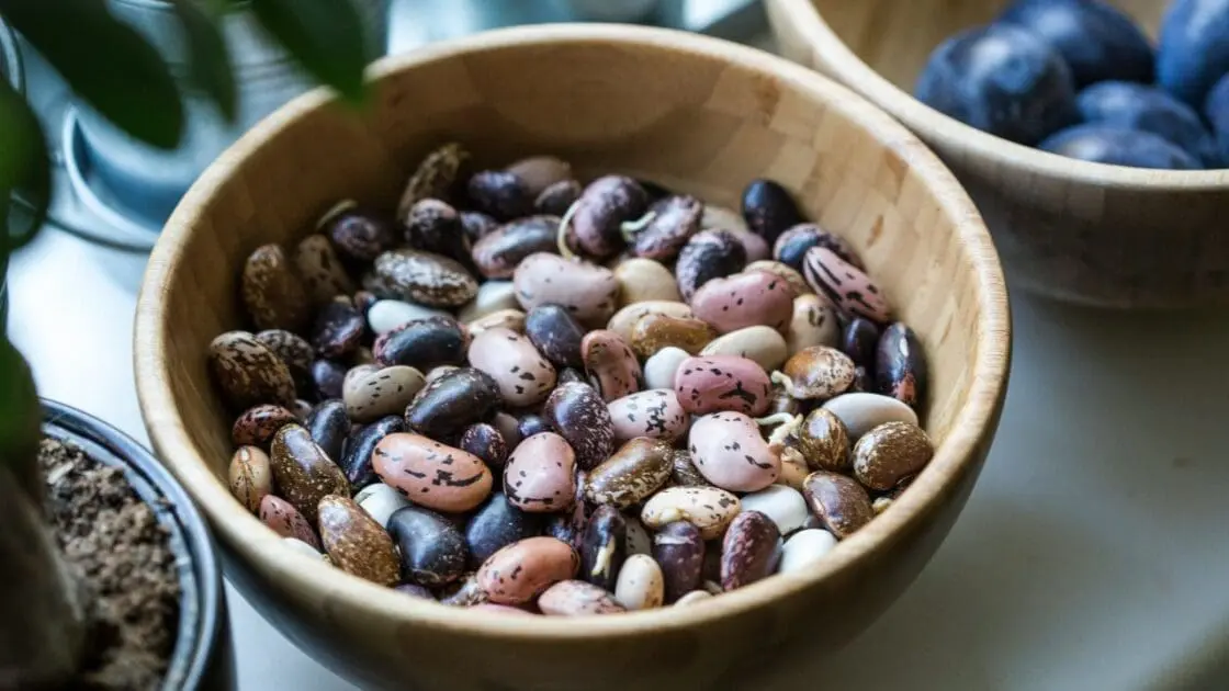 Beans Unsplash